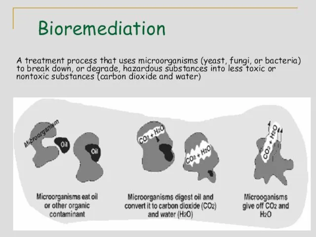 Bioremediation A treatment process that uses microorganisms (yeast, fungi, or bacteria) to