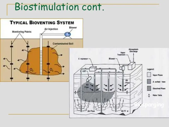 Biostimulation cont. Biosparging