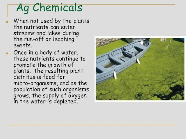 Ag Chemicals When not used by the plants the nutrients can enter