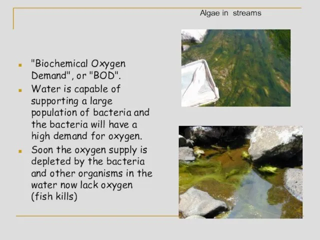 "Biochemical Oxygen Demand", or "BOD". Water is capable of supporting a large