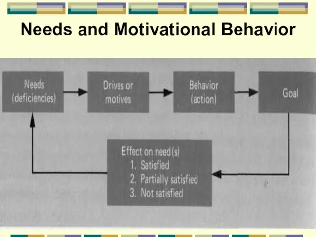 Needs and Motivational Behavior