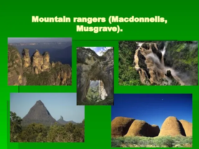 Mountain rangers (Macdonnells, Musgrave).