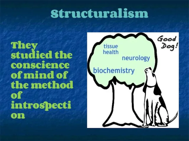 Structuralism They studied the conscience of mind of the method of introspection