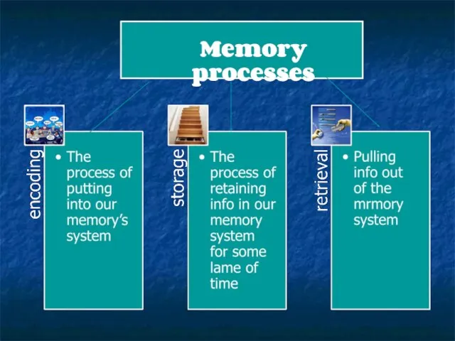 Memory processes