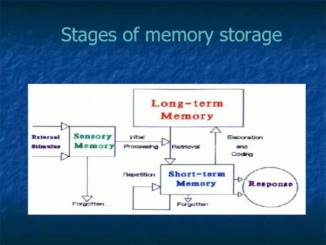 Stages of memory storage