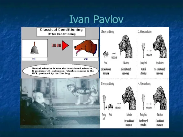 Ivan Pavlov