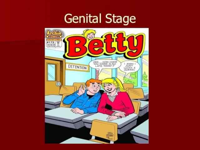 Genital Stage