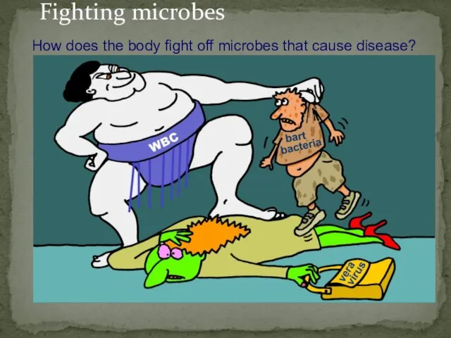 Fighting microbes How does the body fight off microbes that cause disease?