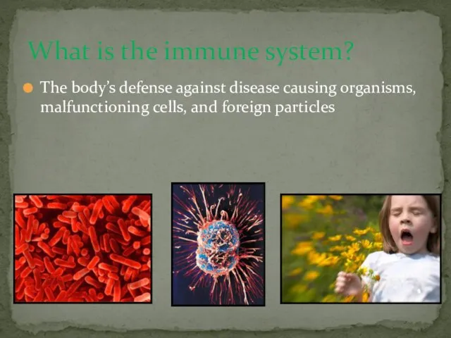 The body’s defense against disease causing organisms, malfunctioning cells, and foreign particles