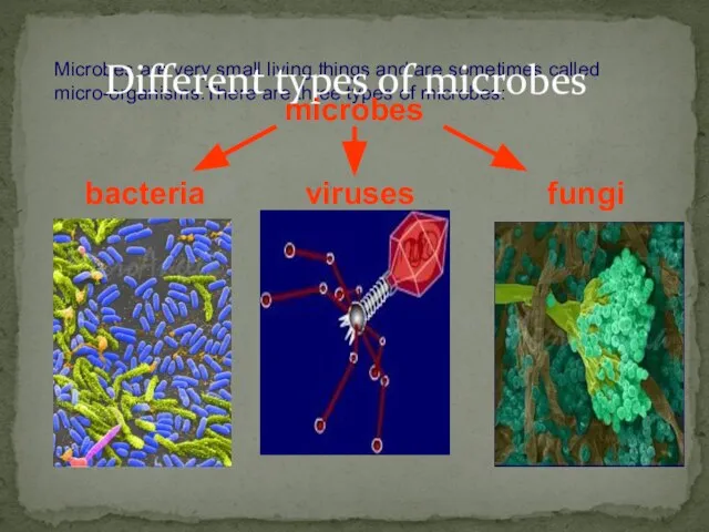 Microbes are very small living things and are sometimes called micro-organisms.There are