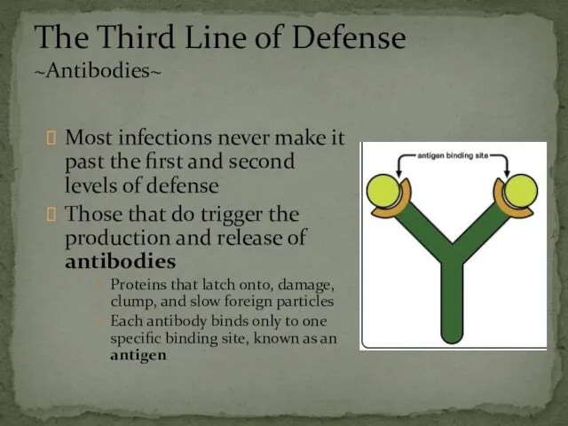 Most infections never make it past the first and second levels of