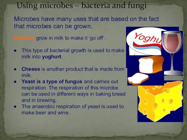 Microbes have many uses that are based on the fact that microbes