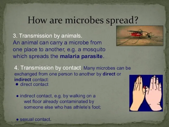 How are microbes spread?