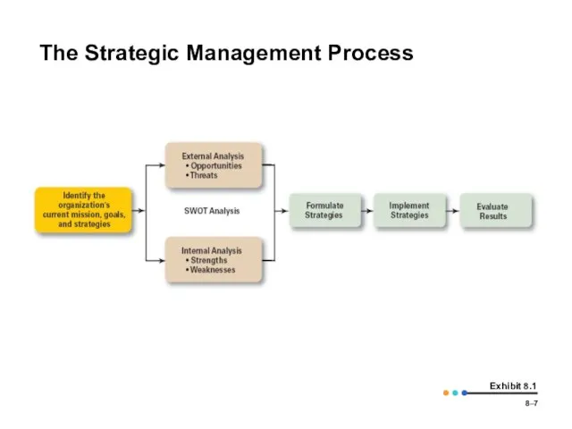 8– Exhibit 8.1 The Strategic Management Process