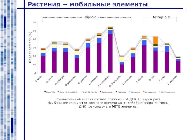 Растения – мобильные элементы Сравнительный анализ состава повторенной ДНК 13 видов риса.