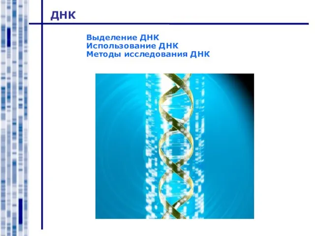 ДНК Выделение ДНК Использование ДНК Методы исследования ДНК