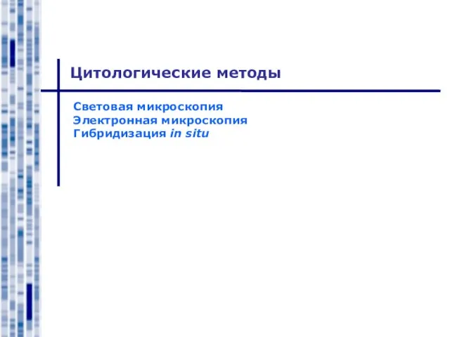 Цитологические методы Световая микроскопия Электронная микроскопия Гибридизация in situ