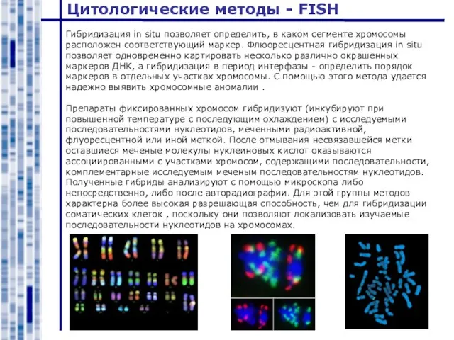 Цитологические методы - FISH Гибридизация in situ позволяет определить, в каком сегменте