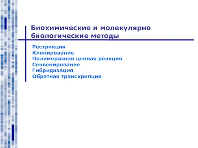 Биохимические и молекулярно биологические методы Рестрикция Клонирование Полимеразная цепная реакция Секвенирование Гибридизация Обратная транскрипция