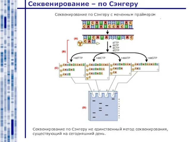 Секвенирование – по Сэнгеру Секвенирование по Сэнгеру не единственный метод секвенирования, существующий