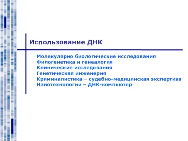 Использование ДНК Молекулярно биологические исследования Филогенетика и генеалогия Клинические исследования Генетическая инженерия