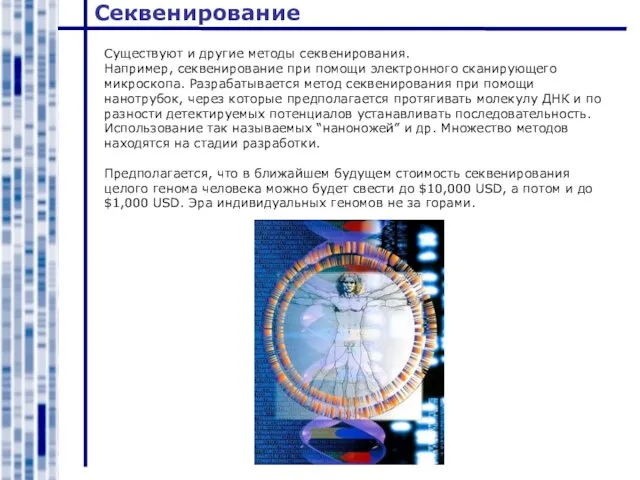 Секвенирование Существуют и другие методы секвенирования. Например, секвенирование при помощи электронного сканирующего