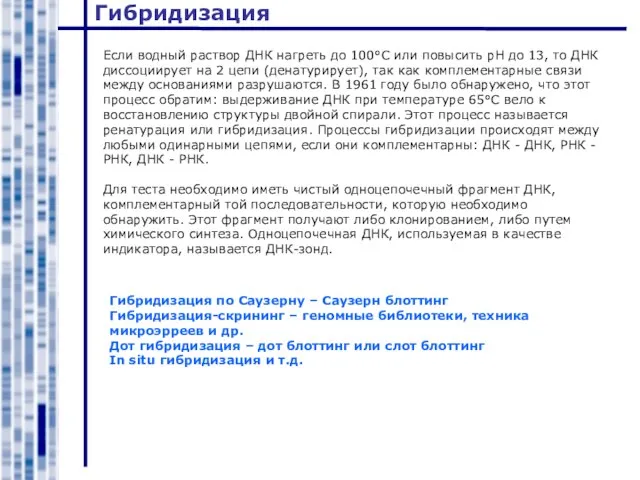 Гибридизация Если водный раствор ДНК нагреть до 100°С или повысить рН до