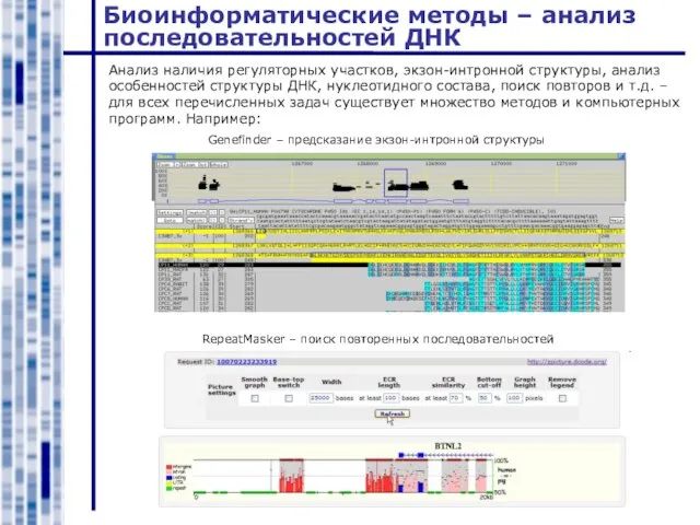 Биоинформатические методы – анализ последовательностей ДНК Анализ наличия регуляторных участков, экзон-интронной структуры,