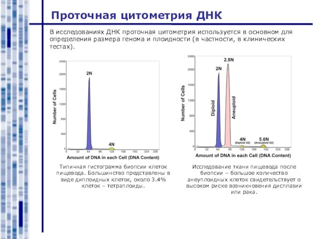 Проточная цитометрия ДНК Исследование ткани пищевода после биопсии – большое количество анеуплоидных