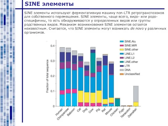 SINE элементы SINE элементы используют ферментативную машину non-LTR ретротранспозонов для собственного перемещения.