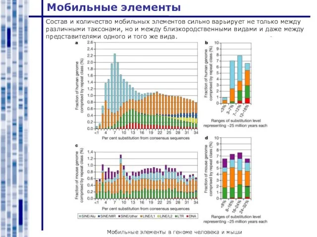 Мобильные элементы Мобильные элементы в геноме человека и мыши Состав и количество