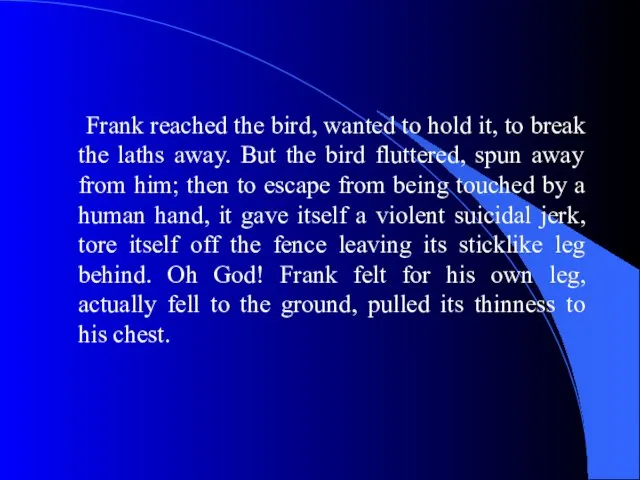 Frank reached the bird, wanted to hold it, to break the laths