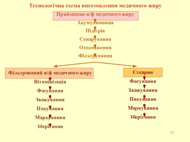 Технологічна схема виготовлення медичного жиру Приймання н/ф медичного жиру Акумулювання Підігрів Сепарування