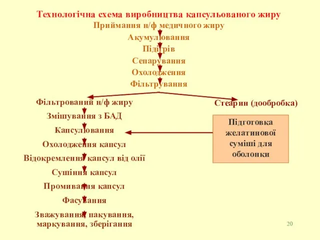 Технологічна схема виробництва капсульованого жиру Приймання н/ф медичного жиру Акумулювання Підігрів Сепарування