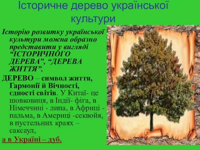 Історичне дерево української культури Історію розвитку української культури можна образно представити у