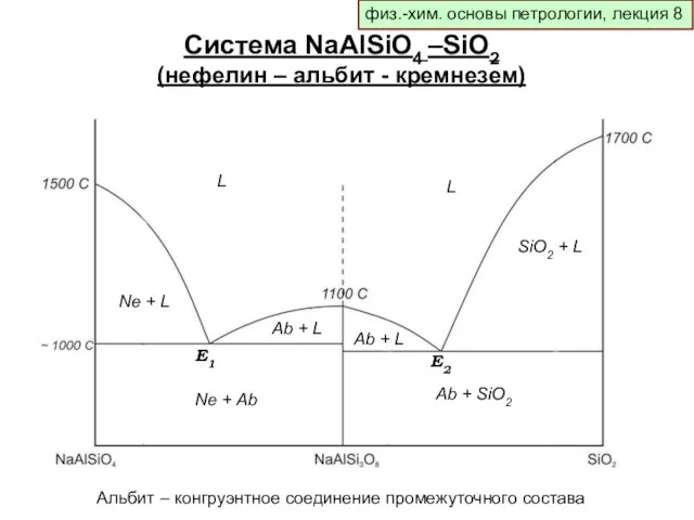 физ.-хим. основы петрологии, лекция 8 Система NaAlSiO4 –SiO2 (нефелин – альбит -