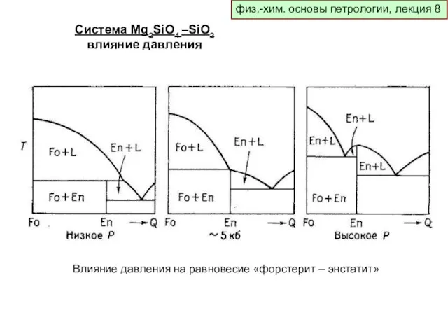 физ.-хим. основы петрологии, лекция 8 Система Mg2SiO4 –SiO2 влияние давления Влияние давления