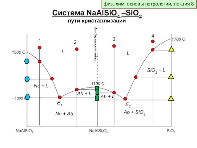 физ.-хим. основы петрологии, лекция 8 Система NaAlSiO4 –SiO2 пути кристаллизации Ne +