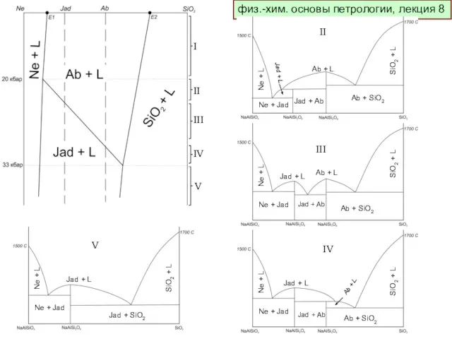 физ.-хим. основы петрологии, лекция 8 II III IV V Ne + L