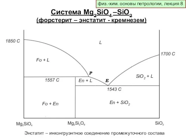 физ.-хим. основы петрологии, лекция 8 Система Mg2SiO4 –SiO2 (форстерит – энстатит -