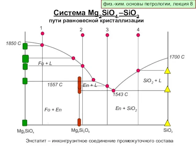 физ.-хим. основы петрологии, лекция 8 Система Mg2SiO4 –SiO2 пути равновесной кристаллизации Энстатит