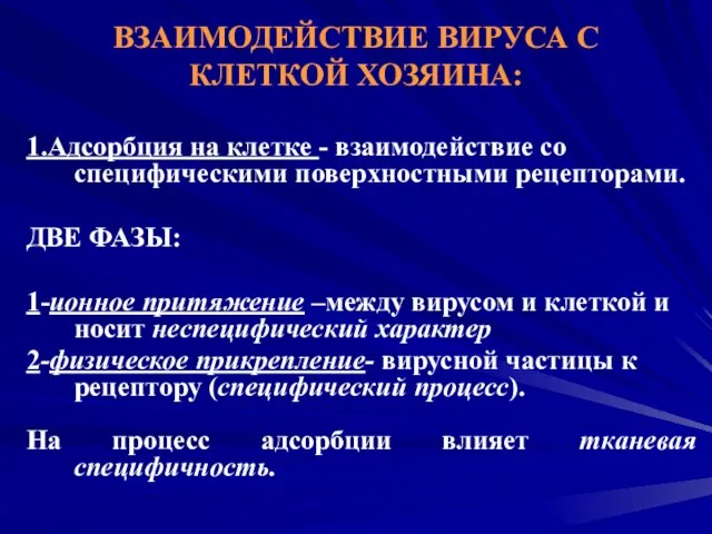 ВЗАИМОДЕЙСТВИЕ ВИРУСА С КЛЕТКОЙ ХОЗЯИНА: 1.Адсорбция на клетке - взаимодействие со специфическими