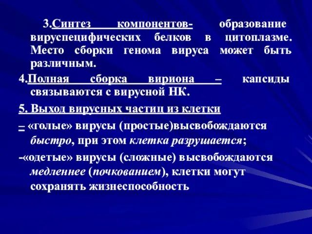 3.Синтез компонентов- образование вируспецифических белков в цитоплазме. Место сборки генома вируса может