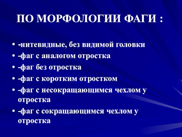 ПО МОРФОЛОГИИ ФАГИ : -нитевидные, без видимой головки -фаг с аналогом отростка