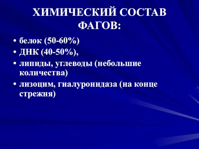 ХИМИЧЕСКИЙ СОСТАВ ФАГОВ: белок (50-60%) ДНК (40-50%), липиды, углеводы (небольшие количества) лизоцим, гиалуронидаза (на конце стрежня)