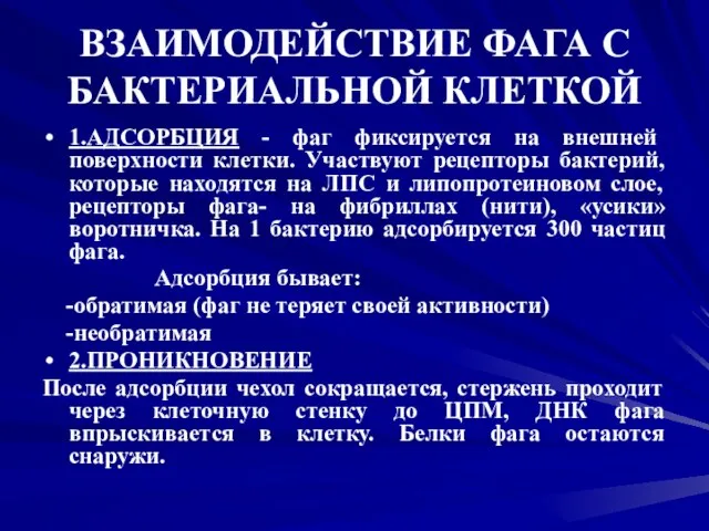 ВЗАИМОДЕЙСТВИЕ ФАГА С БАКТЕРИАЛЬНОЙ КЛЕТКОЙ 1.АДСОРБЦИЯ - фаг фиксируется на внешней поверхности