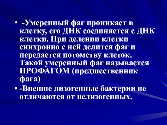 -Умеренный фаг проникает в клетку, его ДНК соединяется с ДНК клетки. При