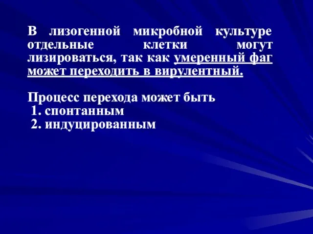 В лизогенной микробной культуре отдельные клетки могут лизироваться, так как умеренный фаг