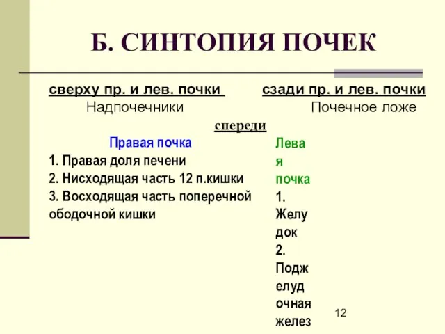 Б. СИНТОПИЯ ПОЧЕК сверху пр. и лев. почки сзади пр. и лев.