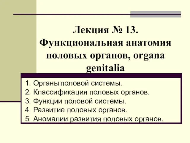 Лекция № 13. Функциональная анатомия половых органов, organa genitalia 1. Органы половой